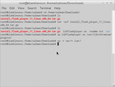 install flash player di blankOn